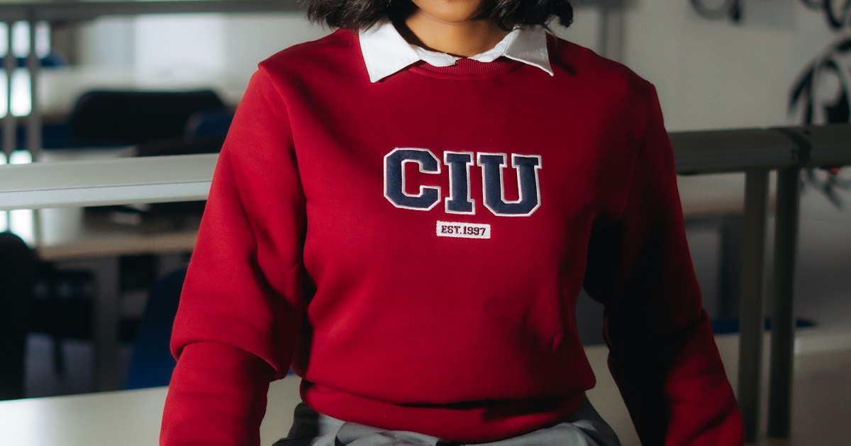School website design Kenya CBC curriculum admissions fee structures