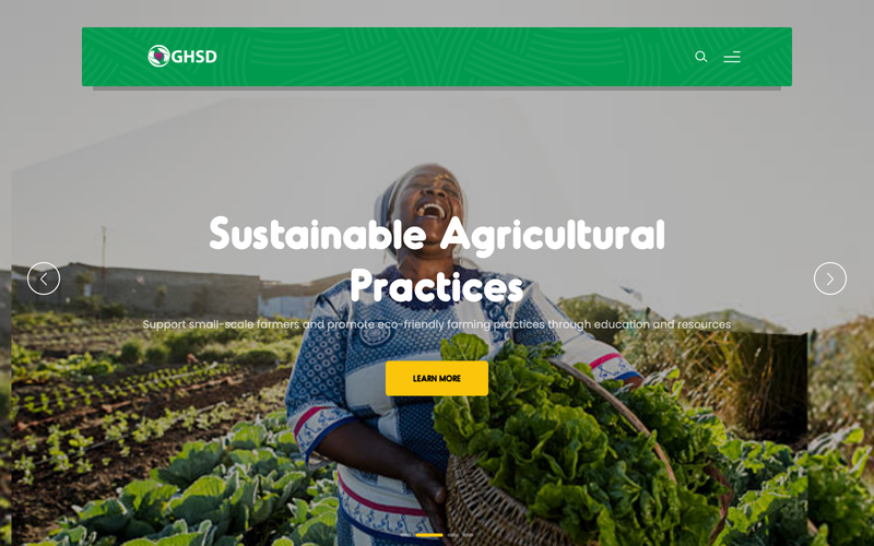 Global Health & Sustainable Development GHSD website — Multi-Touchpoint Brand System