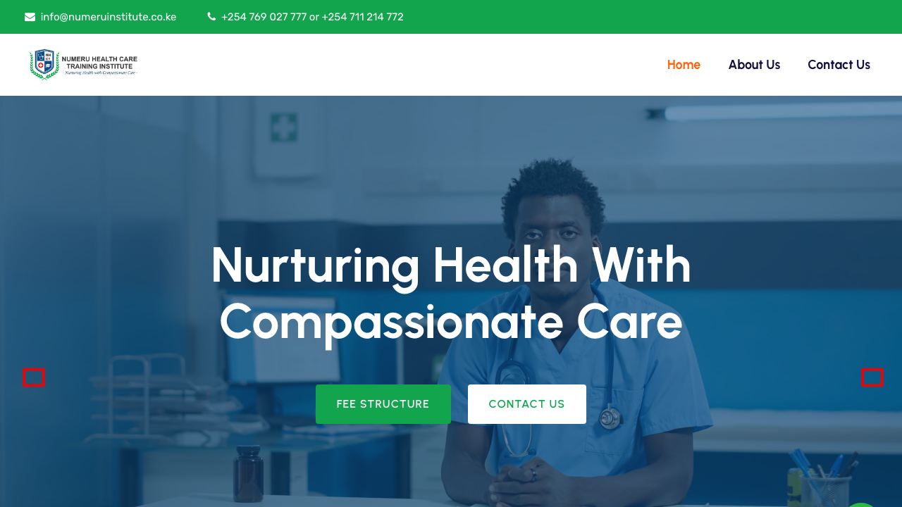 Numeru Health Care Training Institute website — Healthcare Vocational Training College in Kenya